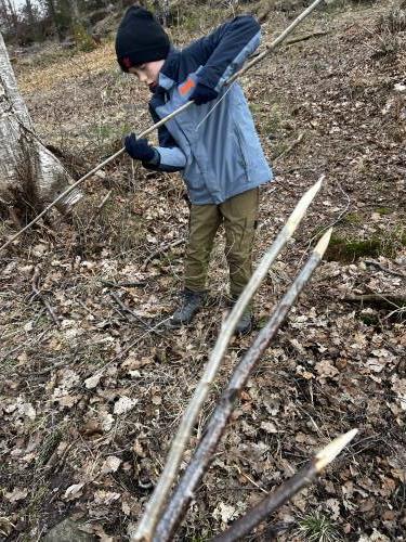 Pinner spikkes til bålmat.